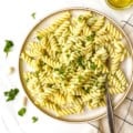 herbed tahini pasta on a brown plate with a fork in it next to herbs.