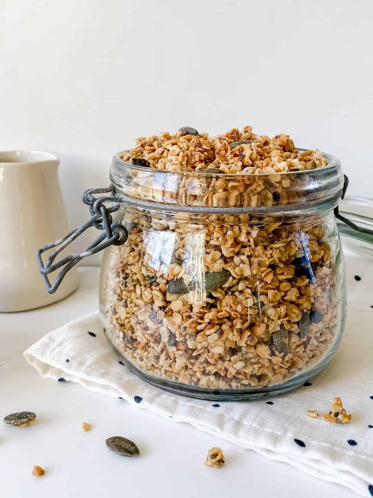 Chia Seed Granola (Nut Free) Through The Fibro Fog