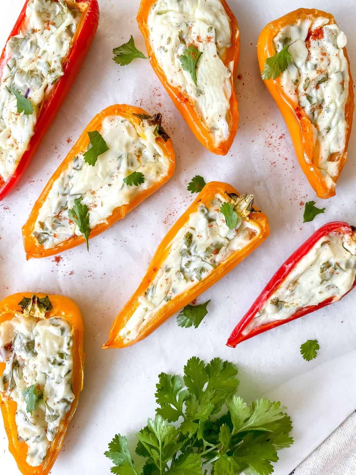 herb cream stuffed mini peppers on a board with coriander.
