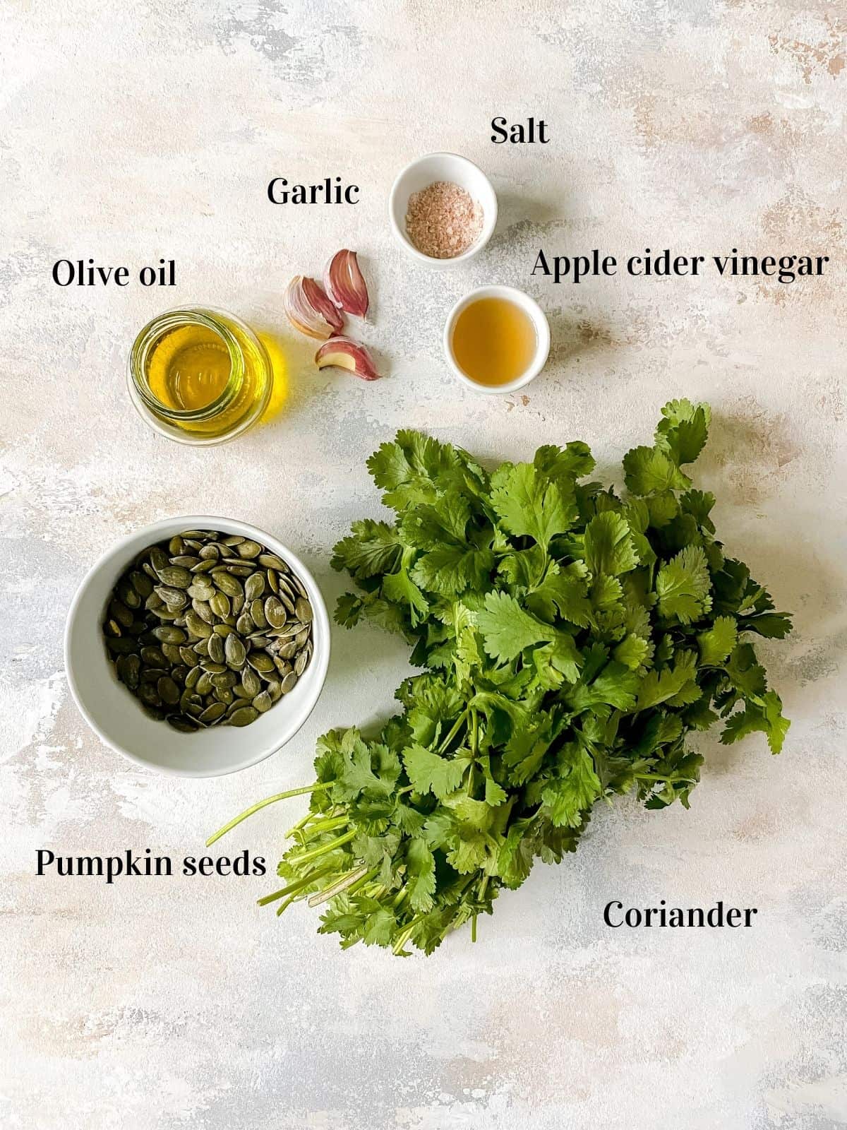 coriander, pumpkin seeds, olive oil, salt, garlic and apple cider vinegar.