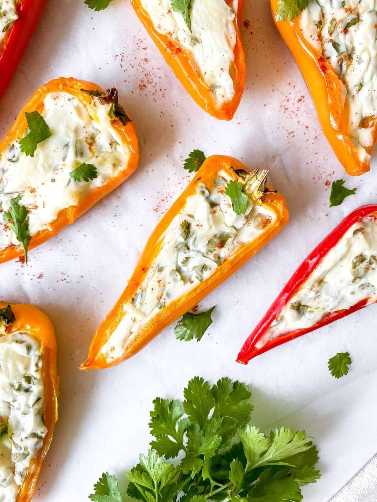 herb cream cheese stuffed mini peppers on a board with coriander.