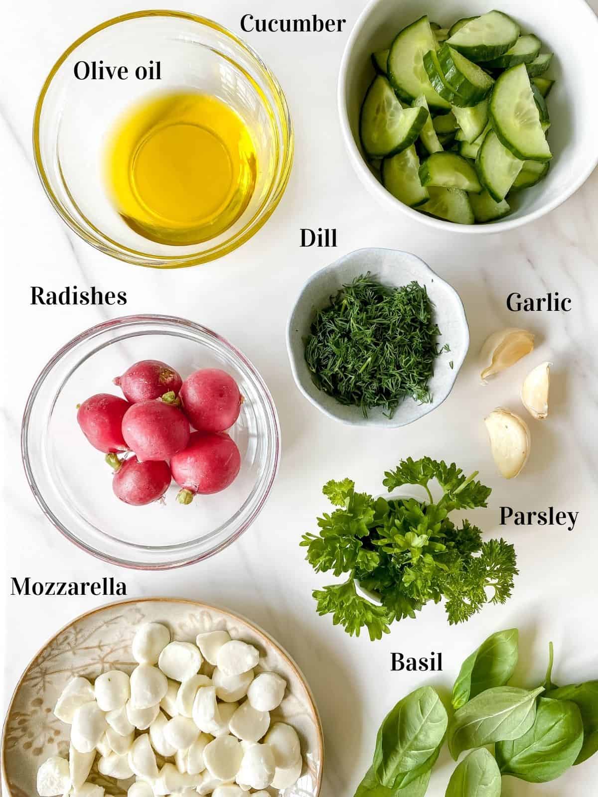 bowl of olive oil, bowl of dill, bowl of cucumber, bowl of radishes, garlic, basil and parsley.