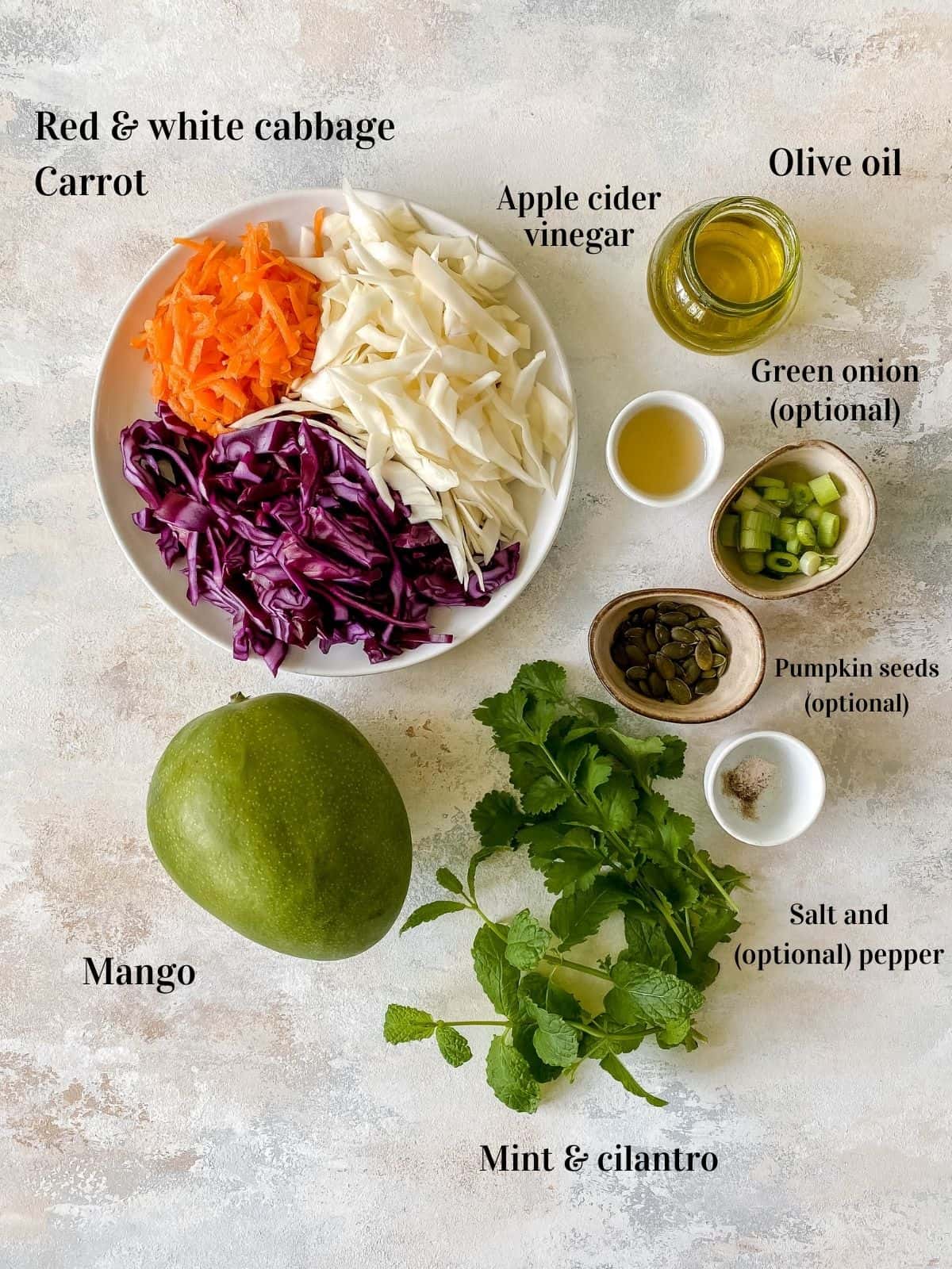 overhead view of a plate of labelled red and white cabbage and carrot, bowls of green onion, pumpkin seeds, olive oil, apple cider vinegar, and a mango and herbs.