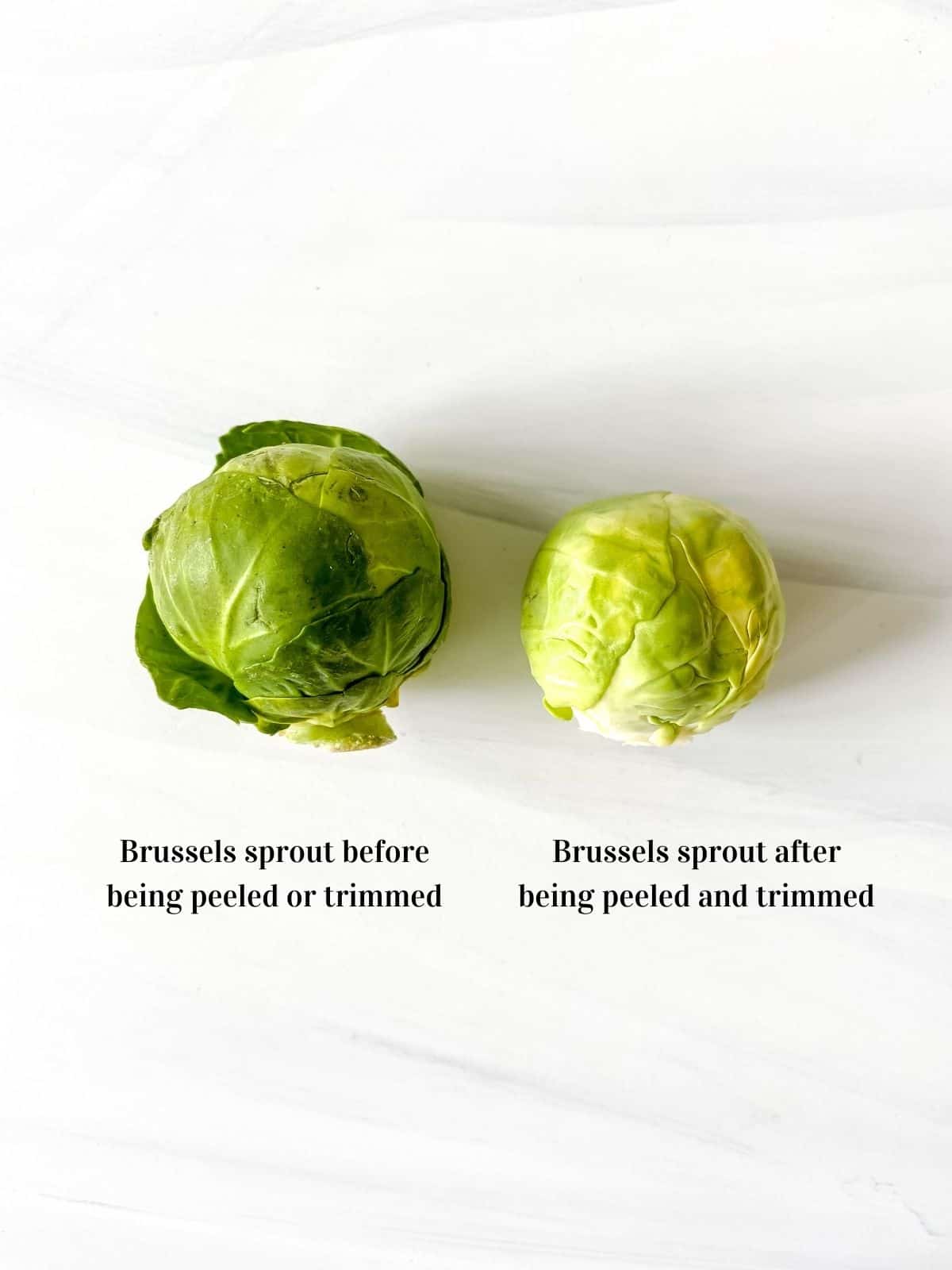 one unpeeled and one peeled brussels sprout.