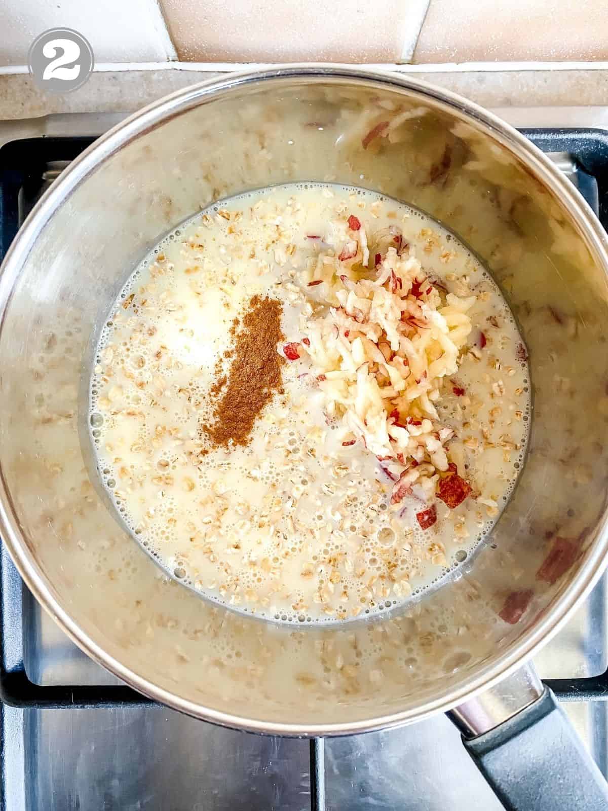 oats, apple and cinnamon in a saucepan.