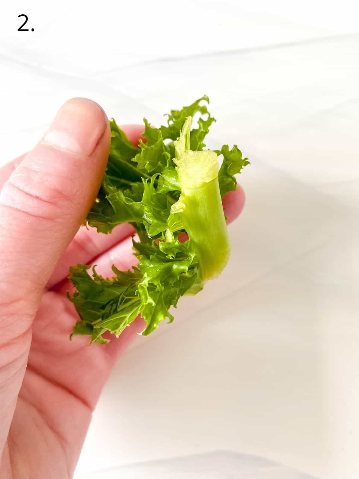 piece of kale being held by a person labelled number two.