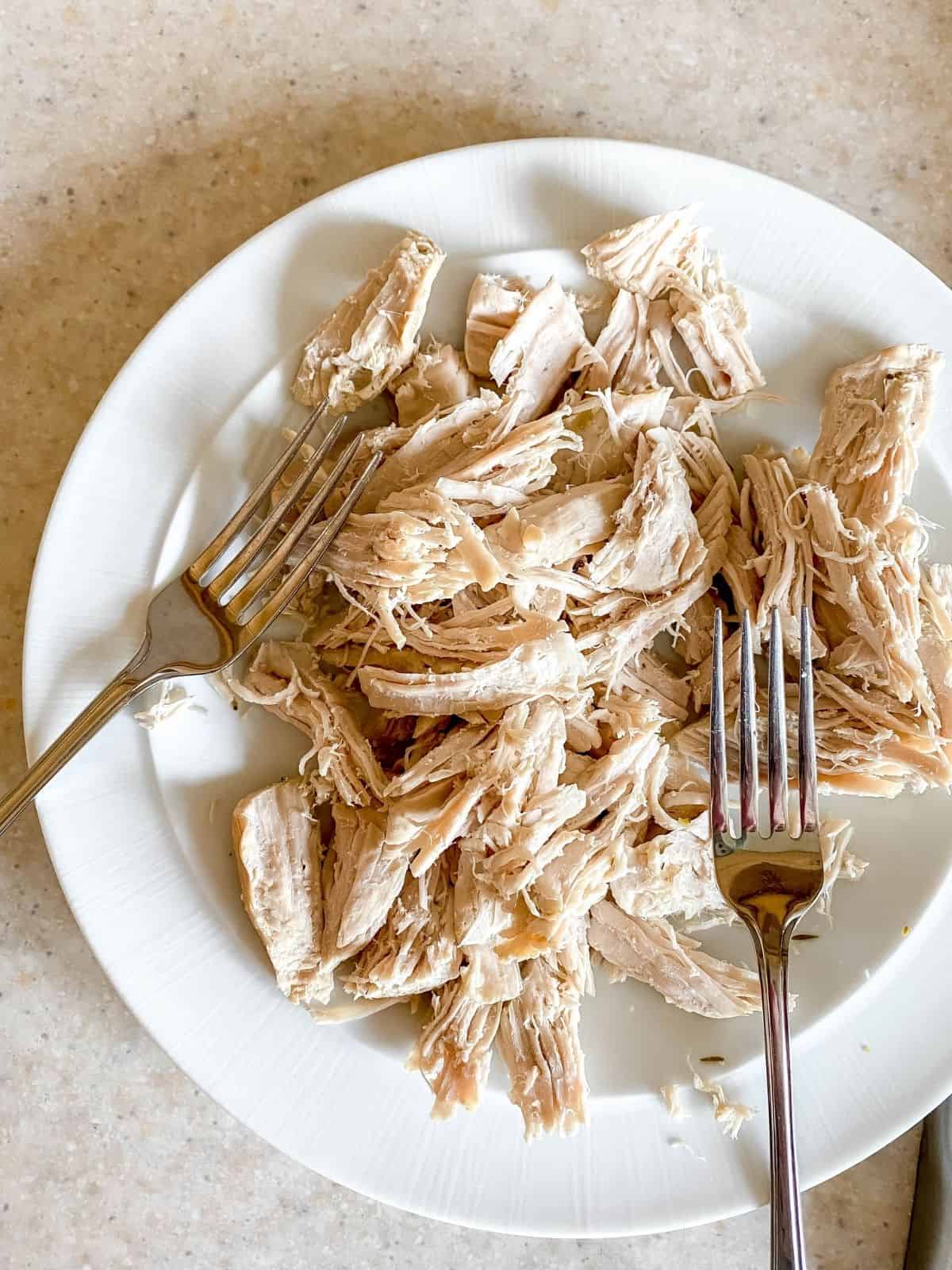 shredded turkey on a white plate with two forks on it.
