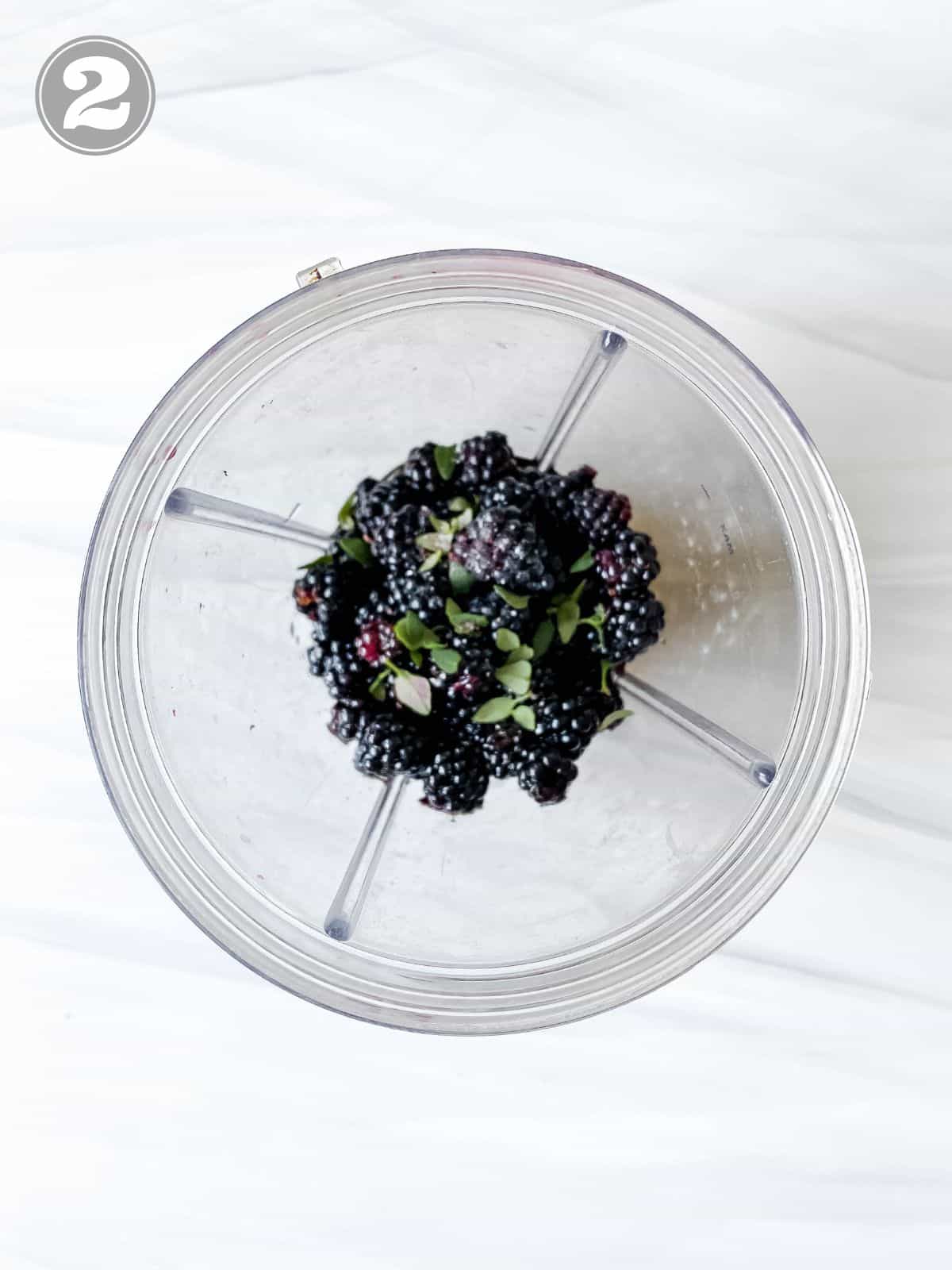 blackberries and thyme leaves in a blender cup.