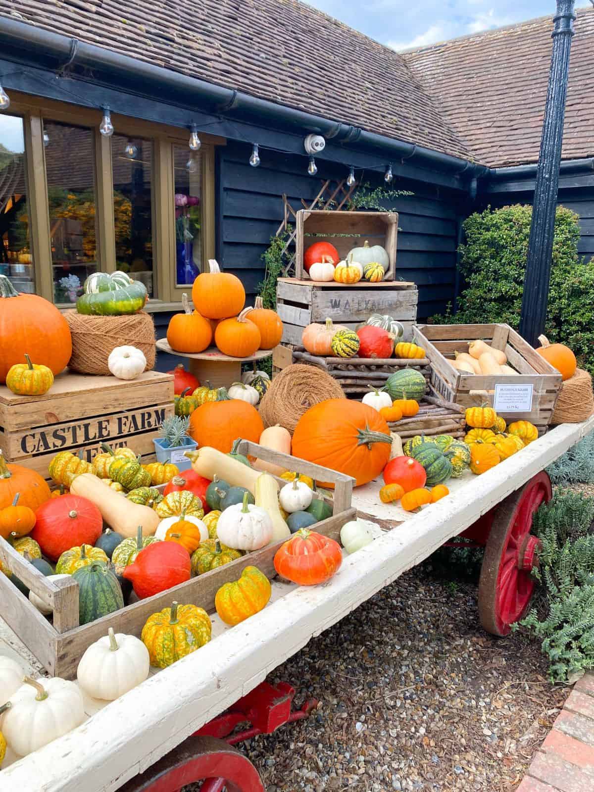 a range of orange and white pumpkins on a cart in front of a farm building.