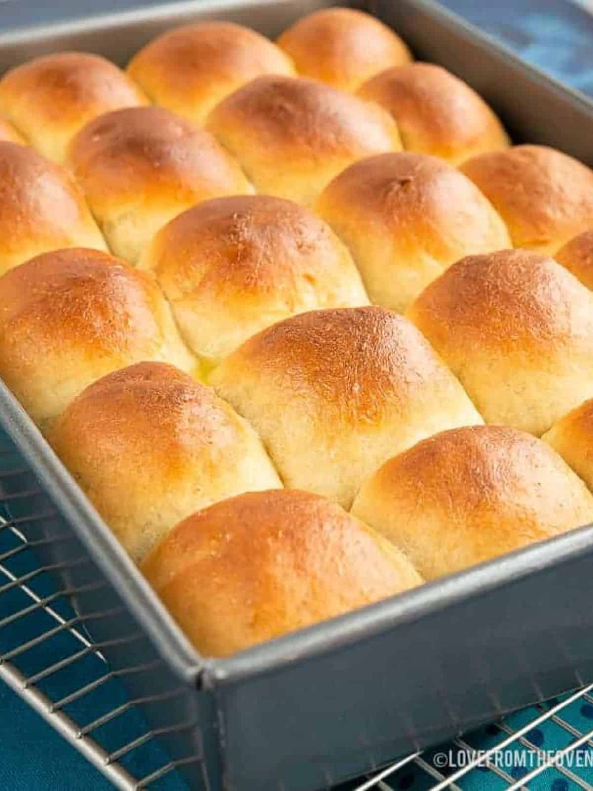 dinner rolls in a baking tray on a wire rack.