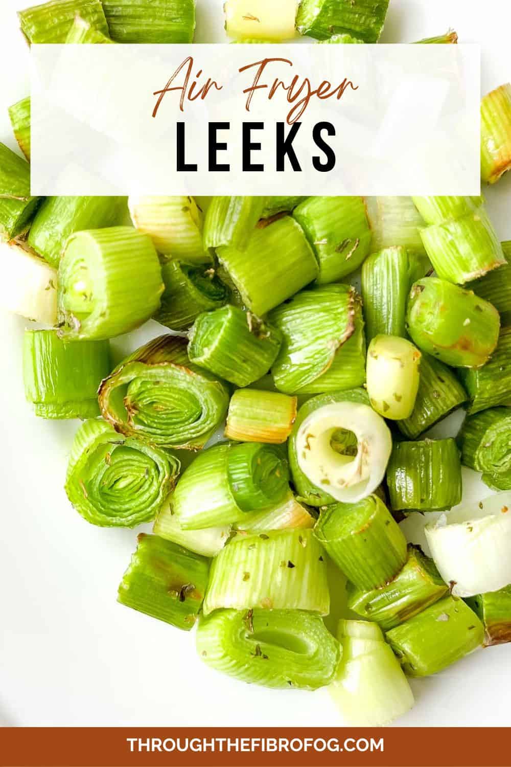 Air Fryer Leeks Through The Fibro Fog