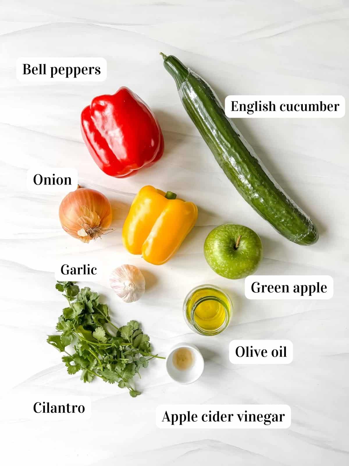 individually labelled ingredients to make bell pepper salsa including cilantro, cucumber, onion and olive oil.