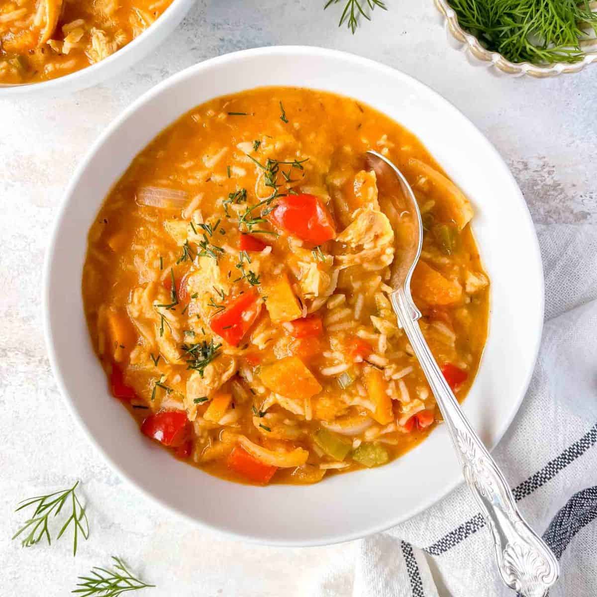 Easy Paprika Chicken Soup - Through The Fibro Fog