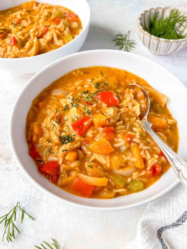 Easy Paprika Chicken Soup Through The Fibro Fog