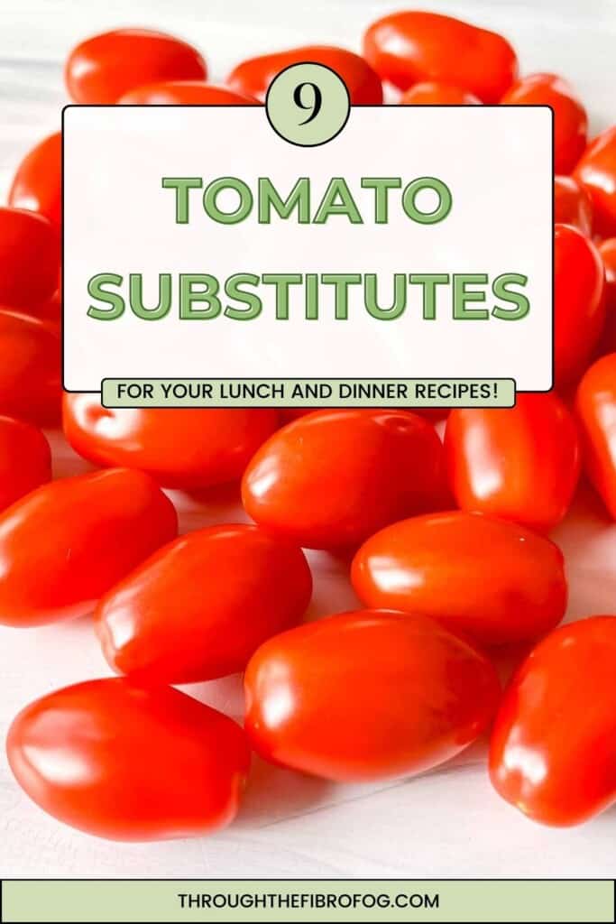 long pin depicting tomatoes with text, nine tomato substitutes for your lunch and dinner recipes, through the fibro fog dot com.