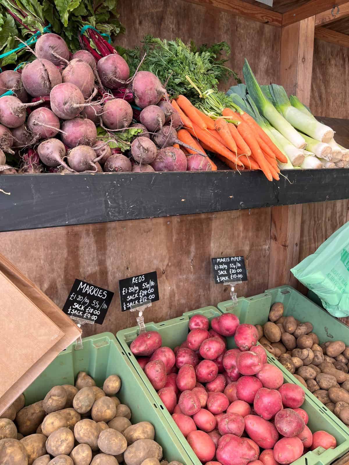 rows of vegetables including beets, carrots, leeks and potatoes.