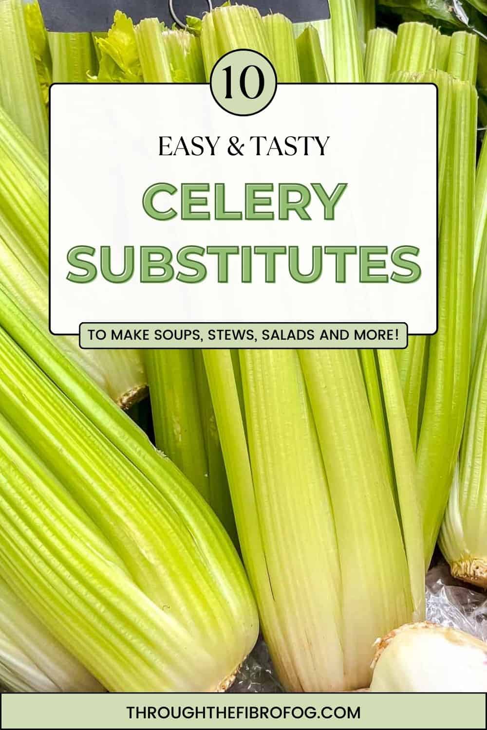 long pin depicting bunches of celery with text, ten easy and tasty celery substitutes to make soups, stews, salads and more, through the fibro fog dot com.