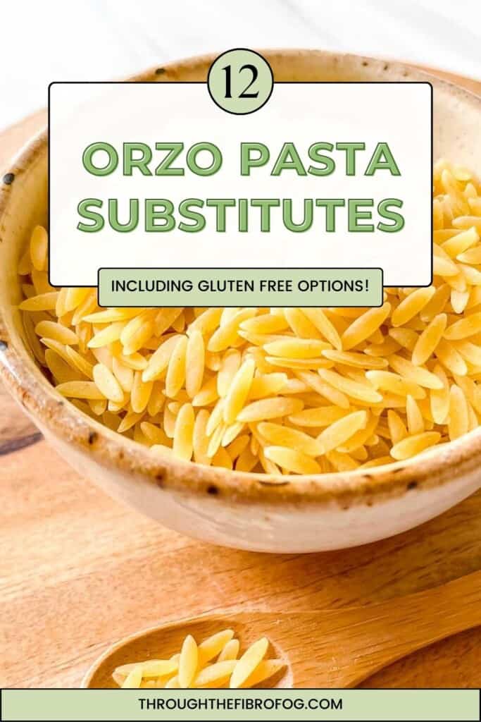 long pin depicting orzo pasta in a bowl with text, twelve orzo pasta substitutes including gluten free options, through the fibro fog dot com.