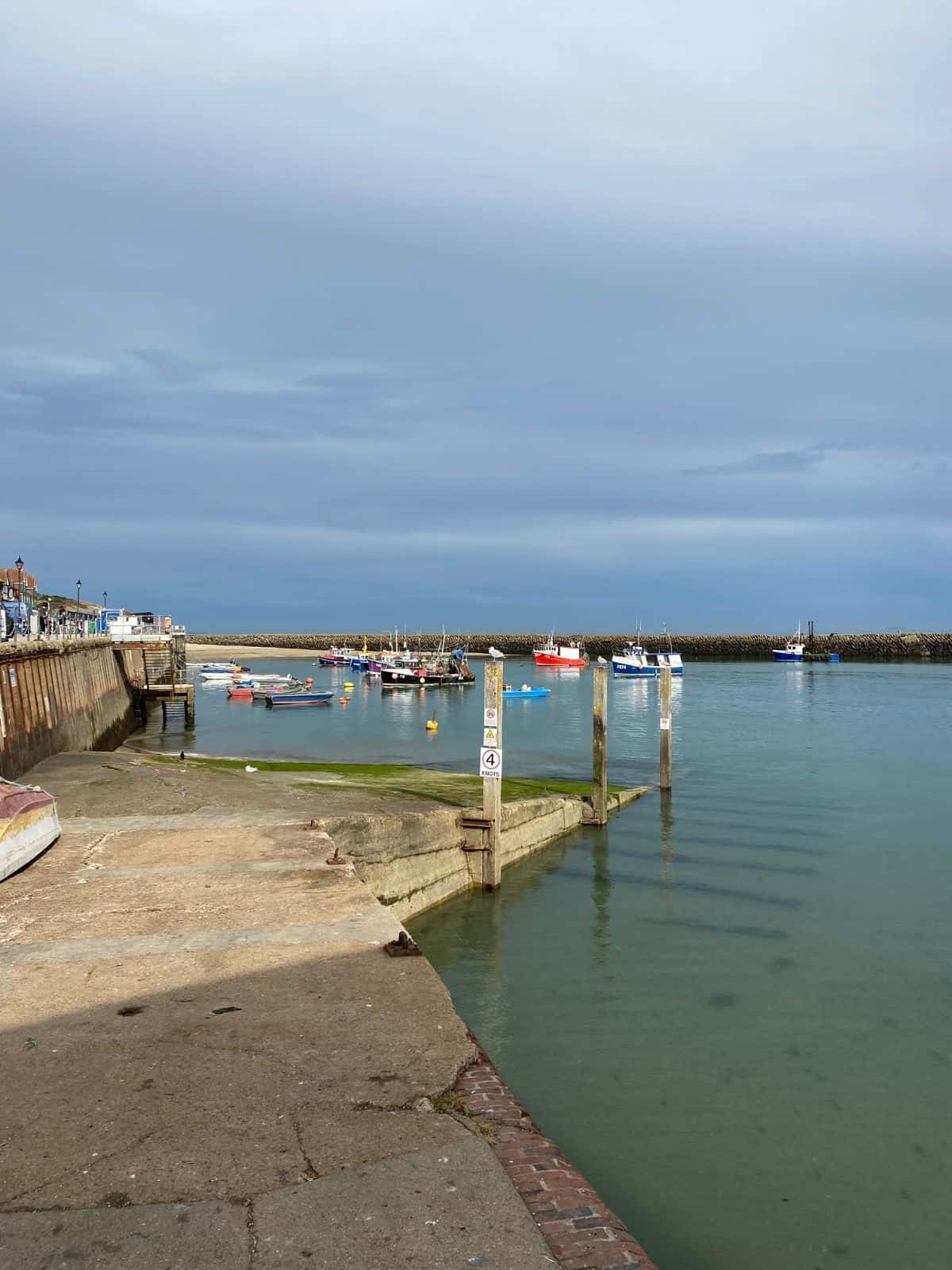 boats in a harbour.