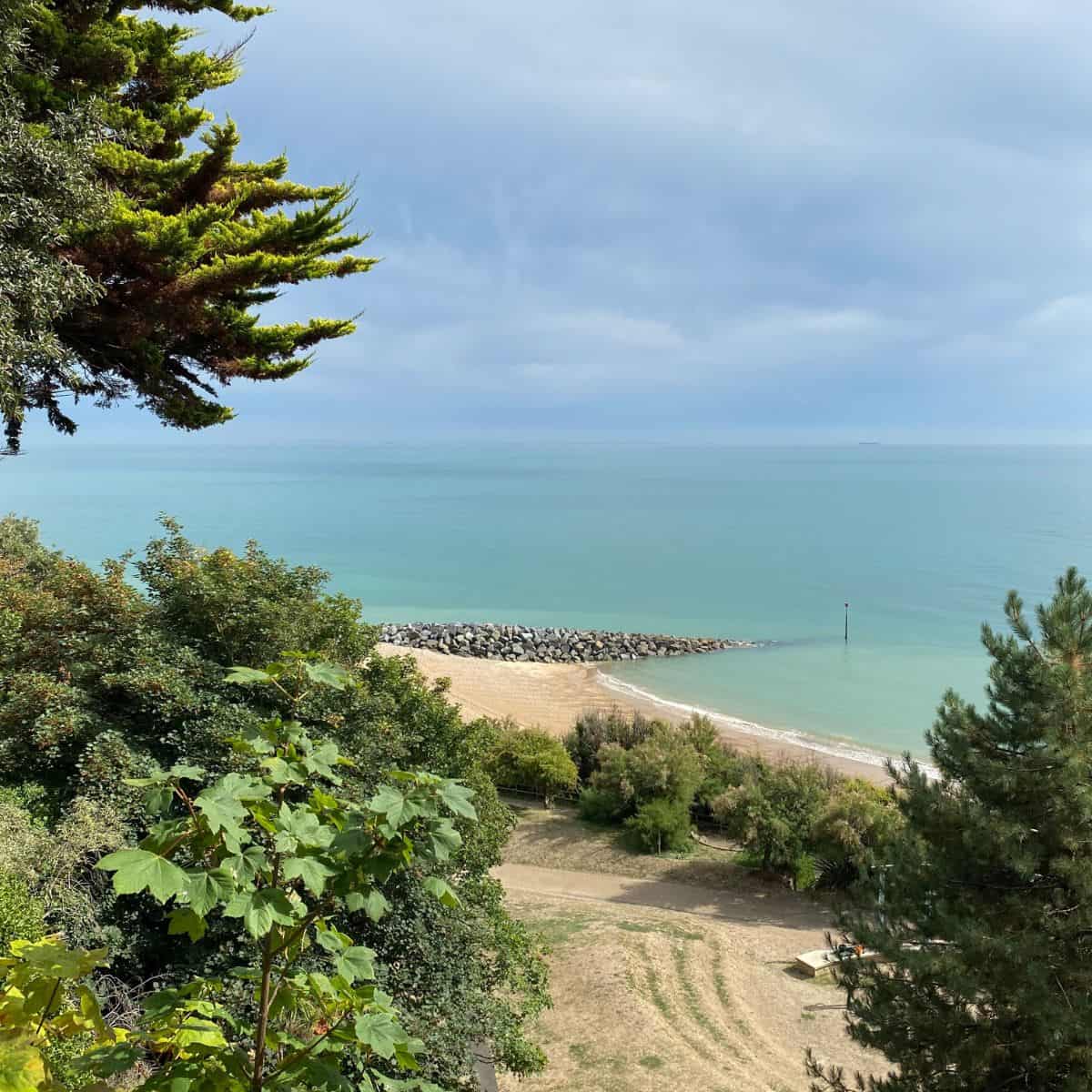 beach against trees and bushes.