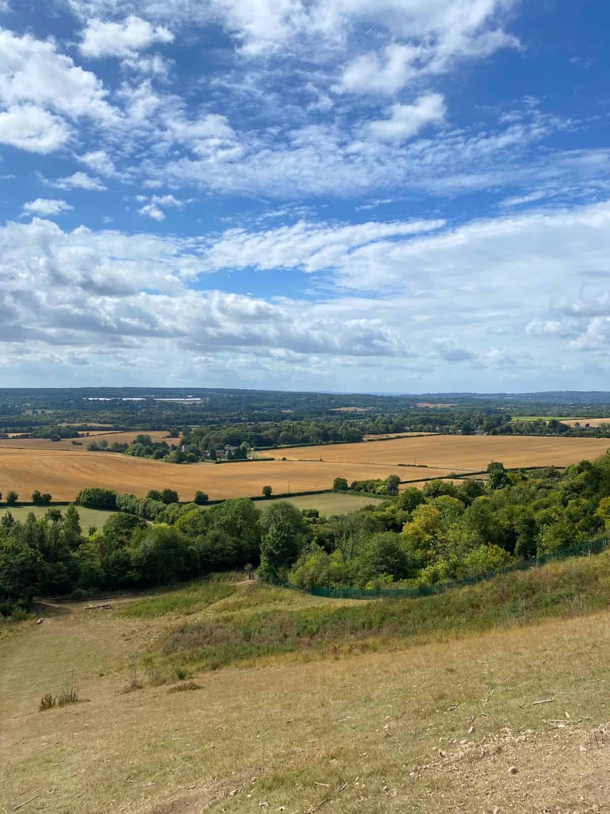 view of fields with a blue sky.