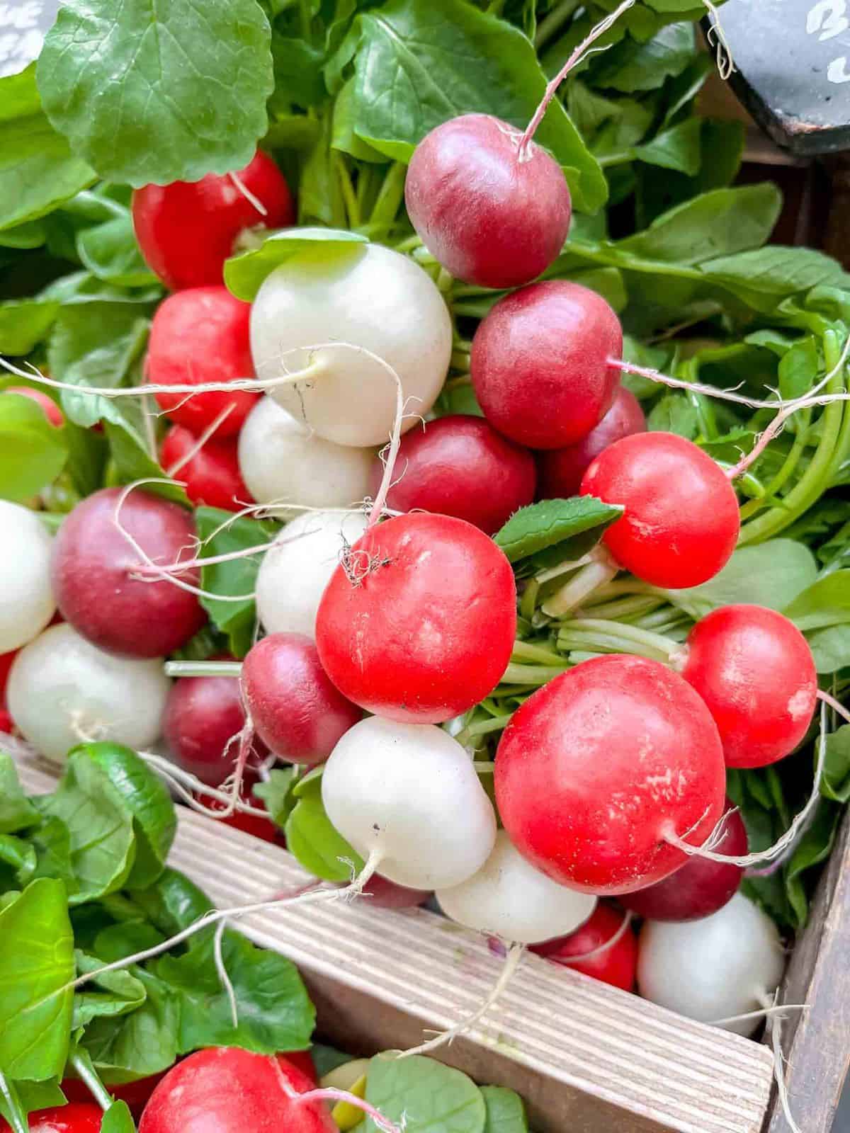 bunch of red and white radishes in a wooden box.