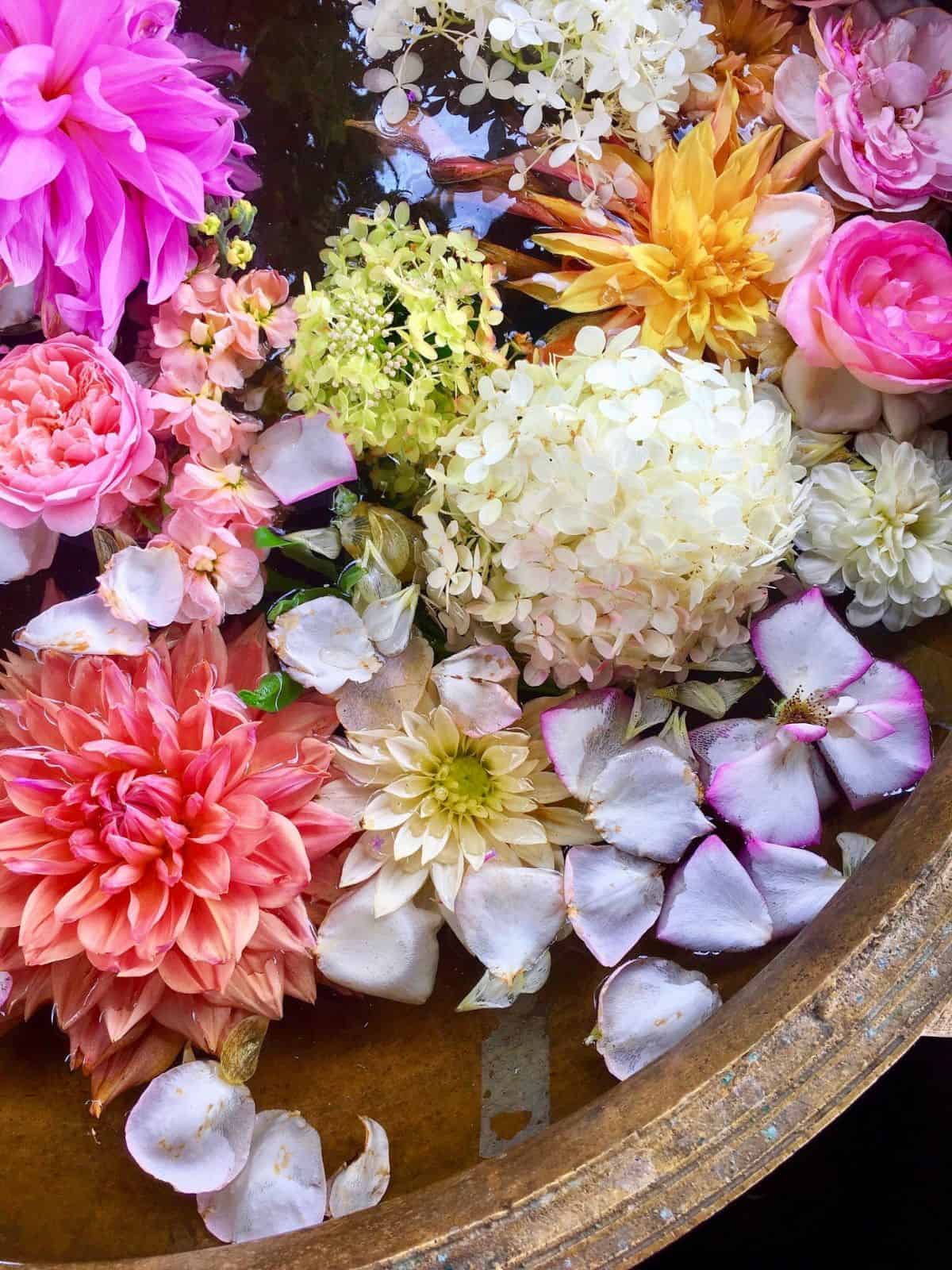 pink and white flowers in a bowl of water.