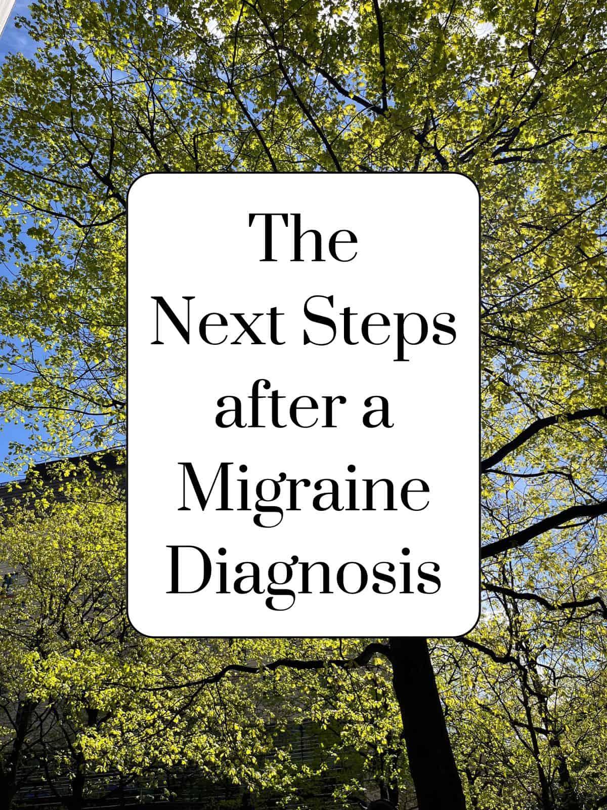 trees with text overlay, the next steps after a migraine diagnosis.