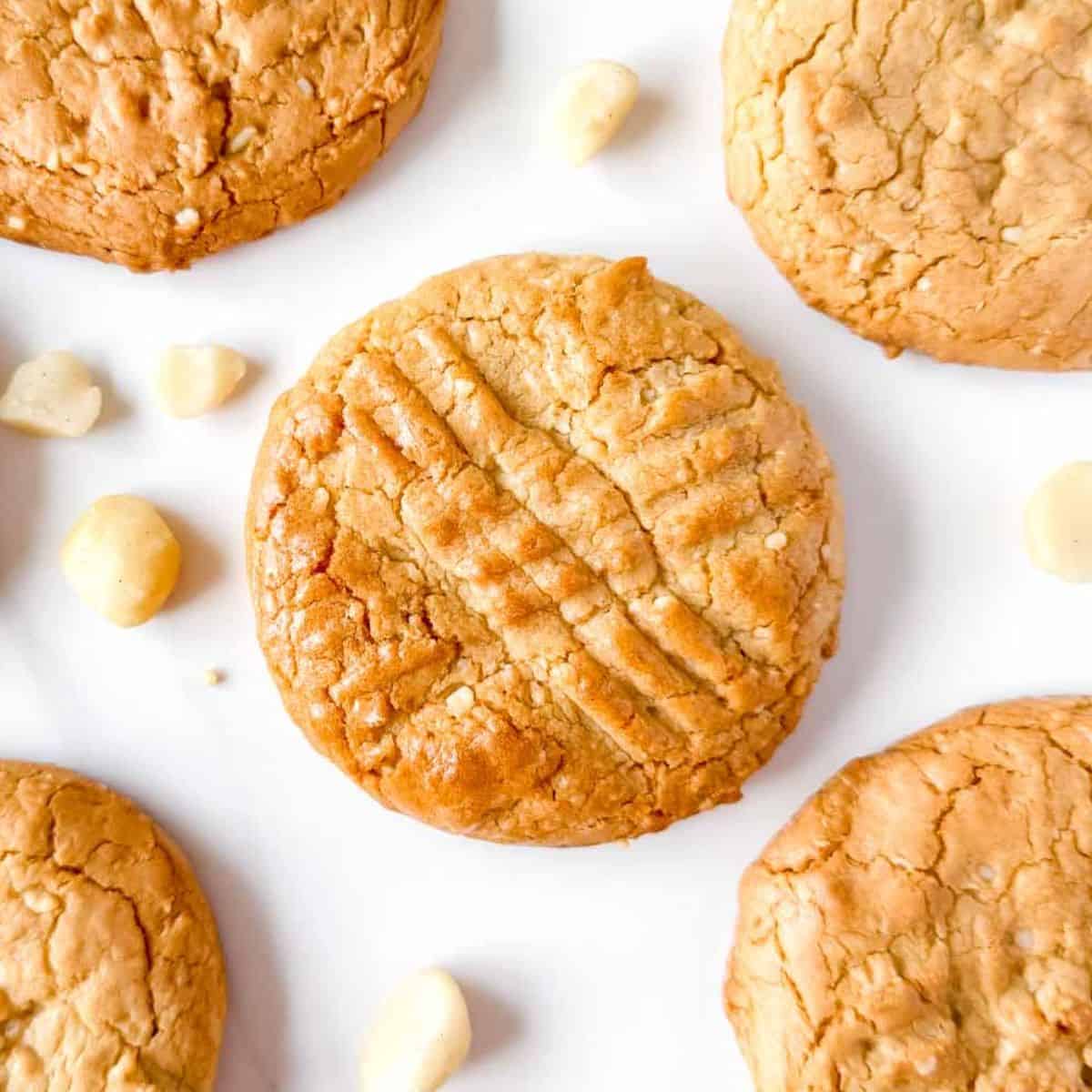 Macadamia Nut Butter Cookies (3 Ingredients)