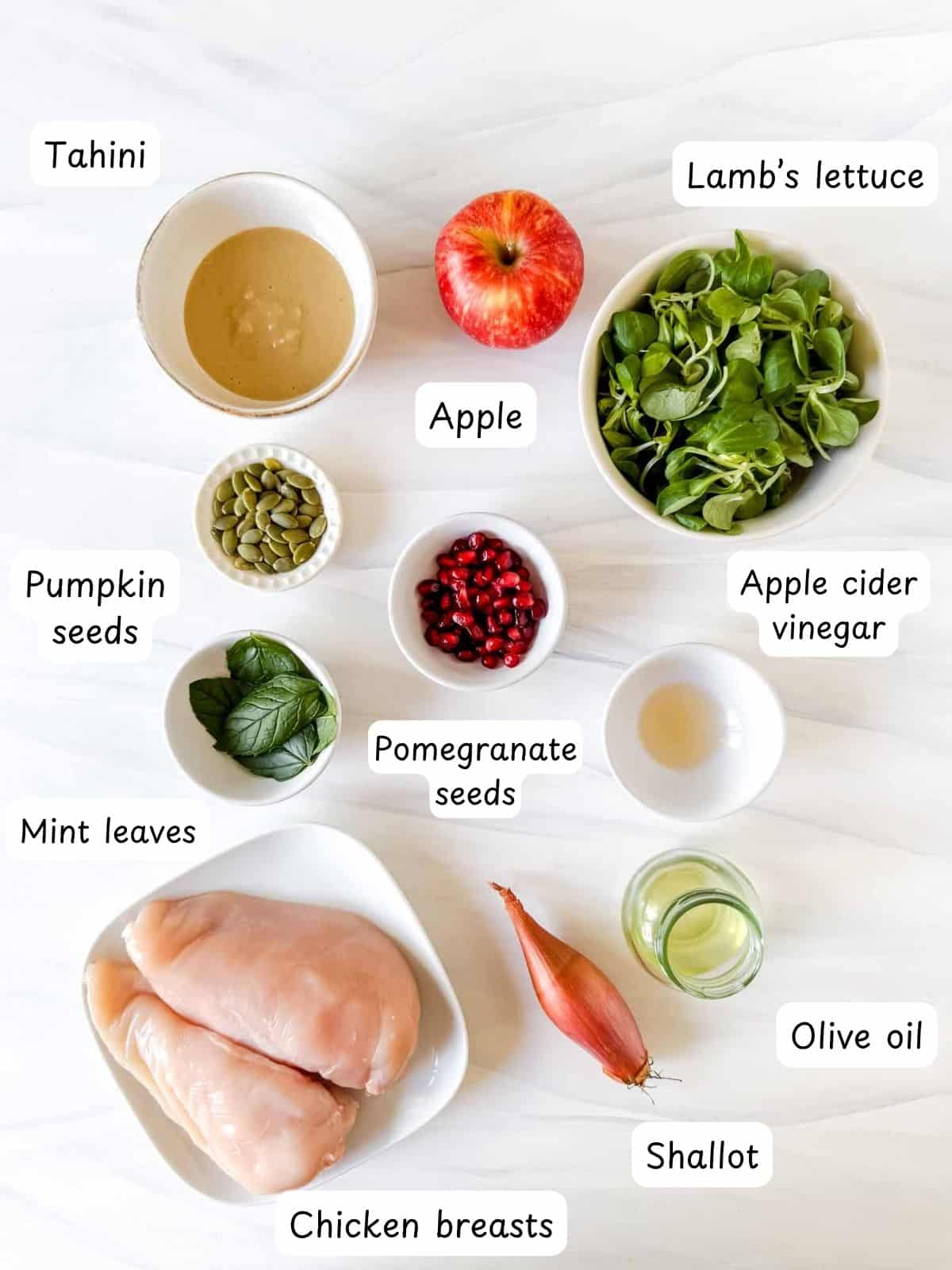 individually labelled chicken breasts, pomegranate seeds, apple, lamb's lettuce, pumpkin seeds, mint leaves, apple cider vinegar, olive oil and shallot.