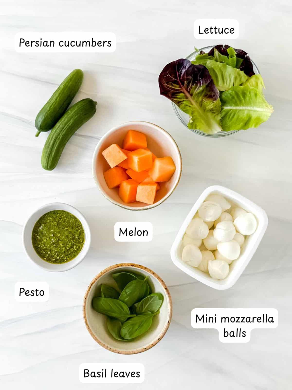 individually labelled mini mozzarella balls, Persian cucumbers, lettuce, melon, basil leaves and a small bowl of pesto.