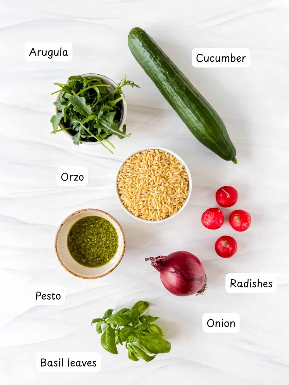 individually labelled arugula, orzo, cucumber, radishes, onion, basil leaves and pesto.