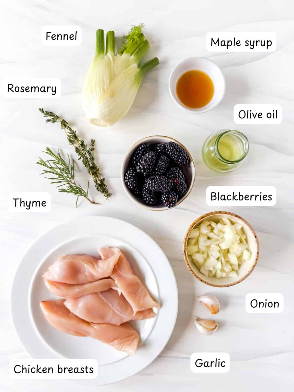 individually labelled chicken breasts, blackberries, fennel rosemary, thyme, maple syrup, olive oil, onion and garlic.
