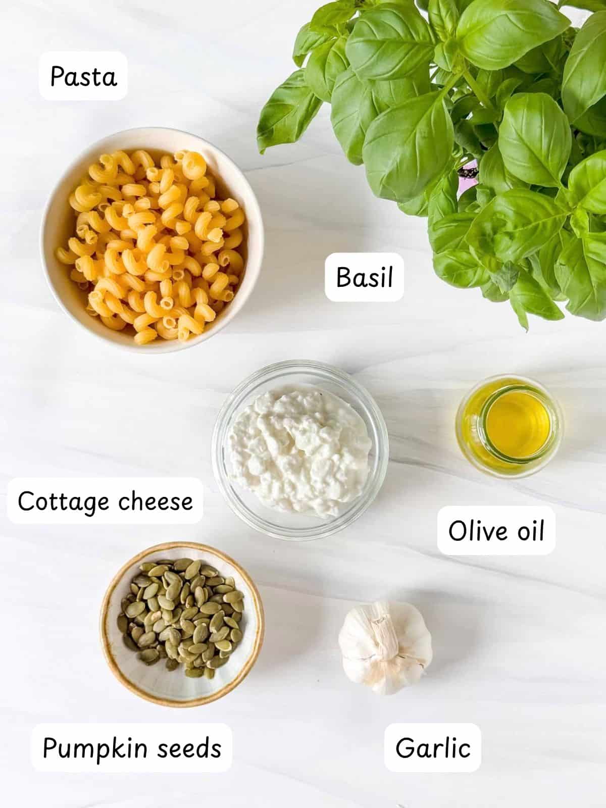 individually labelled pasta, cottage cheese, basil leaves, olive oil, garlic and pumpkin seeds.